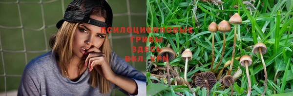 герыч Богородск