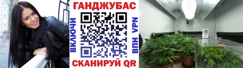 площадка телеграм  продажа наркотиков  Славгород  Каннабис Ganja 